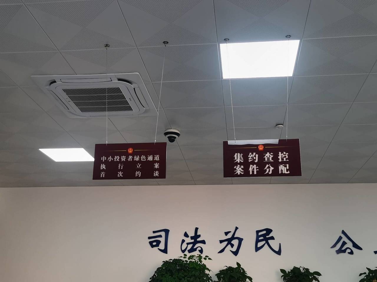 5f6ed215-2775-455a-8b0e-bdb5f4c905a9.jpg