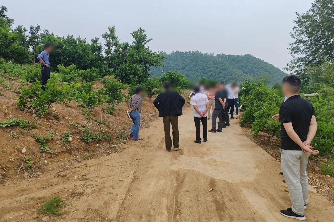微信图片_20250723112851.jpg 微信图片_20250723112851.jpg